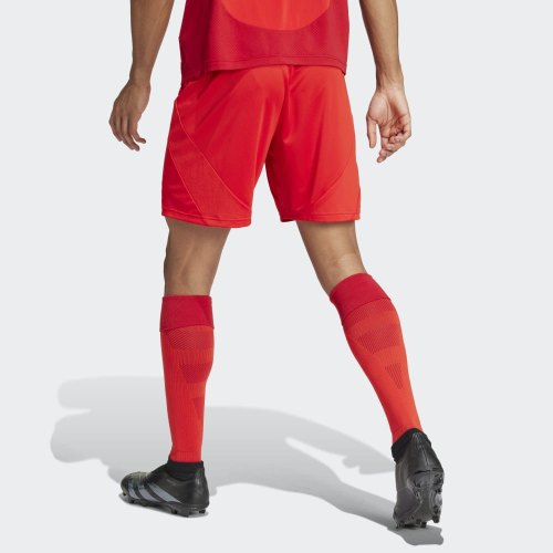 Preview: FC Bayern München Shorts - 2024-25